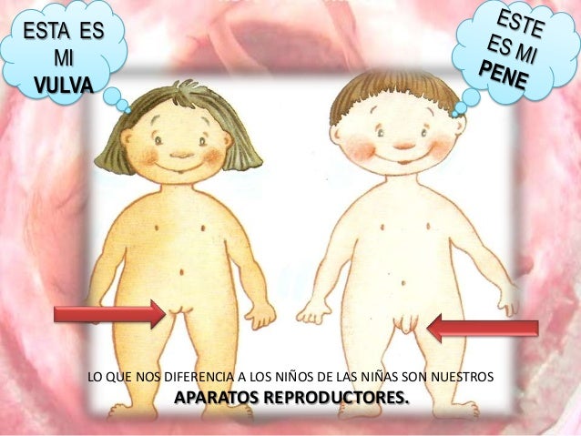 Los árabes como aumentan el miembro viril