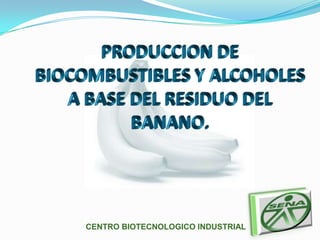 PRODUCCION DE BIOCOMBUSTIBLES Y ALCOHOLES A BASE DEL RESIDUO DEL BANANO. CENTRO BIOTECNOLOGICO INDUSTRIAL 