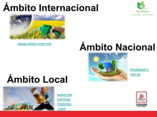 Ámbito Internacional
www.renov.com.mx
Ámbito Nacional
biodiesel.c
om.ar
Ámbito Local
www.me
canicay
motores
.com
 