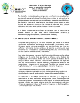 UNIVERSIDAD TÉCNICA DE MACHALA
CURSO DE NIVELACIÓN Y ADMISIÓN
ÁREA DE ESTUDIO: SALUD
PROYECTO DE BIOLOGIA

No afecta los niveles de azúcar sanguíneo, por el contrario, estudios han
demostrado sus propiedades hipoglucémicas, mejora la tolerancia a la
glucosa y es por eso que es recomendado para los pacientes diabéticos.
La Stevia es importante para la gente que desea perder peso, no solo
porque les ayudará a disminuir la ingesta de calorías, sino porque
reduce los antojos o la necesidad de estar comiendo dulces.
A la Stevia también se le confieren propiedades para el control de la
presión arterial, ya que tiene efecto vasodilatador, diurético y
cardiotónico (regula la presión y los latidos del corazón).
1.1.2. IMPORTANCIA SOCIAL SOBRE LA PROBLEMÁTICA
Guayusa (Ilex guayusa) es un árbol pequeño que crece en la selva
amazónica ecuatoriana lejanamente emparentado con la yerba mate.
De sabor suave y aroma agradable, sus grandes hojas son ricas en
cafeína y al mismo tiempo contienen L-teanina un aminoácido que
transmite una sensación de agradable tranquilidad. La combinación de
los dos crea un estímulo suave y placentero.
Las hojas de guayusa han sido históricamente utilizadas por las tribus
indígenas de la zona. Los quechuas la ofrecen como bebida de
hospitalidad y bienvenida. Entre los shuar (jíbaros) la bebida de la
guayusa es un hecho cotidiano y ritual al alba. Hervidas las hojas en
una olla, beben mientras cuentan sueños e historias que refuerzan las
costumbres y relaciones de comunidad. También se conoce como
“vigilante nocturno”, por su capacidad para mantener despierto.
Tradicionalmente se ha utilizado como bebida medicinal
atribuyéndosele innumerables virtudes desde energizante, diurético y
desintoxicante natural, hasta efectiva para problemas de fertilidad.
Su consumo se reivindica lentamente en Ecuador y se empieza a
descubrir en el resto del mundo. El agradable sabor, cantidad justa de
cafeina y proyectos sustentables pueden llamar la atención y el interés
por esta infusión que puede beberse tanto fría como caliente, sola, con
cítricos o especias e incluso en la cocina, integrada en distintos platos.
También se mezcla con alcohol.

11

 