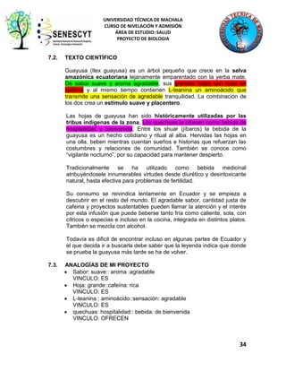 UNIVERSIDAD TÉCNICA DE MACHALA
CURSO DE NIVELACIÓN Y ADMISIÓN
ÁREA DE ESTUDIO: SALUD
PROYECTO DE BIOLOGIA

7.2.

TEXTO CIENTÍFICO
Guayusa (Ilex guayusa) es un árbol pequeño que crece en la selva
amazónica ecuatoriana lejanamente emparentado con la yerba mate.
De sabor suave y aroma agradable, sus grandes hojas son ricas en
cafeína y al mismo tiempo contienen L-teanina un aminoácido que
transmite una sensación de agradable tranquilidad. La combinación de
los dos crea un estímulo suave y placentero.
Las hojas de guayusa han sido históricamente utilizadas por las
tribus indígenas de la zona. Los quechuas la ofrecen como bebida de
hospitalidad y bienvenida. Entre los shuar (jíbaros) la bebida de la
guayusa es un hecho cotidiano y ritual al alba. Hervidas las hojas en
una olla, beben mientras cuentan sueños e historias que refuerzan las
costumbres y relaciones de comunidad. También se conoce como
“vigilante nocturno”, por su capacidad para mantener despierto.
Tradicionalmente se ha utilizado como bebida medicinal
atribuyéndosele innumerables virtudes desde diurético y desintoxicante
natural, hasta efectiva para problemas de fertilidad.
Su consumo se reivindica lentamente en Ecuador y se empieza a
descubrir en el resto del mundo. El agradable sabor, cantidad justa de
cafeina y proyectos sustentables pueden llamar la atención y el interés
por esta infusión que puede beberse tanto fría como caliente, sola, con
cítricos o especias e incluso en la cocina, integrada en distintos platos.
También se mezcla con alcohol.
Todavía es dificil de encontrar incluso en algunas partes de Ecuador y
el que decida ir a buscarla debe saber que la leyenda indica que donde
se prueba la guayusa más tarde se ha de volver.

7.3.

ANALOGÍAS DE MI PROYECTO
Sabor: suave:: aroma :agradable
VINCULO: ES
Hoja: grande::cafeína: rica
VINCULO: ES
L-teanina : aminoácido::sensación: agradable
VINCULO: ES
quechuas: hospitalidad:: bebida: de bienvenida
VINCULO: OFRECEN

34

 