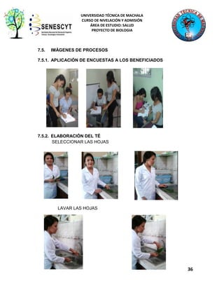 UNIVERSIDAD TÉCNICA DE MACHALA
CURSO DE NIVELACIÓN Y ADMISIÓN
ÁREA DE ESTUDIO: SALUD
PROYECTO DE BIOLOGIA

7.5.

IMÁGENES DE PROCESOS

7.5.1. APLICACIÓN DE ENCUESTAS A LOS BENEFICIADOS

7.5.2. ELABORACIÓN DEL TÉ
SELECCIONAR LAS HOJAS

LAVAR LAS HOJAS

36

 