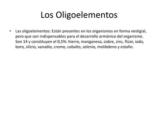 Los Oligoelementos
• Las oligoelementos: Están presentes en los organismos en forma vestigial,
pero que son indispensables para el desarrollo armónico del organismo.
Son 14 y constituyen el 0,5%: hierro, manganeso, cobre, zinc, flúor, iodo,
boro, silicio, vanadio, cromo, cobalto, selenio, molibdeno y estaño.

 