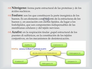  Nitrógeno: forma parte estructural de las proteínas y de los
ácidos nucleicos.

 Fosforo: son los que constituyen la parte inorgánica de los



huesos. Es un elemento constituyente de la estructuras de los
huesos y, en asociación con ciertos lípidos, da lugar a los
fosfolípidos, que son componentes indispensables de las
membranas celulares y del tejido nervioso.

 Azufre: en la respiración tisular ,papel estructural de los
puentes di sulfúricos, en la constitución de los tejidos
conjuntivos, en los mecanismos de desintoxicación.

 