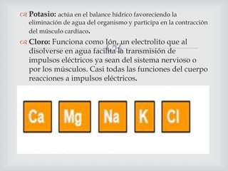  Potasio: actúa en el balance hídrico favoreciendo la
eliminación de agua del organismo y participa en la contracción
del músculo cardíaco.



 Cloro: Funciona como Ión, un electrolito que al
disolverse en agua facilita la transmisión de
impulsos eléctricos ya sean del sistema nervioso o
por los músculos. Casi todas las funciones del cuerpo
reacciones a impulsos eléctricos.

 