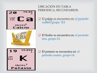 UBICACIÓN EN TABLA
PERIODICA, SECUNDARIOS:



 El calcio se encuentra en: el periodo
cuatro, grupo llA

 El Sodio se encuentra en: el periodo
tres, grupo lA

 El potasio se encuentra en: el
periodo cuatro, grupo lA

 