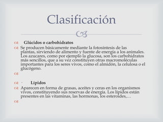 Clasificación

 Glúcidos o carbohidratos
 Se producen básicamente mediante la fotosíntesis de las
plantas, sirviendo de alimento y fuente de energía a los animales.
Los azucares, como por ejemplo la glucosa, son los carbohidratos
más sencillos, que a su vez constituyen otras macromoléculas
importantes para los seres vivos, como el almidón, la celulosa o el
glucógeno.


 ·
Lípidos
 Aparecen en forma de grasas, aceites y ceras en los organismos
vivos, constituyendo sus reservas de energía. Los lípidos están
presentes en las vitaminas, las hormonas, los esteroides,…


 