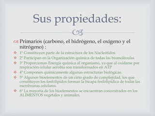 Sus propiedades:

 Primarios (carbono, el hidrógeno, el oxígeno y el
nitrógeno) :
 1º Constituyen parte de la estructura de los Nucleótidos
 2º Participan en la Organización química de todas las biomoléculas
 3º Proporcionan Energía química al organismo, ya que al oxidarse por
respiración celular aerobia son transformados en ATP
 4º Componen químicamente algunas estructuras biológicas.
 5º Algunos bioelementos de un cirto grado de complejidad, los que
constituyen los fosfolípidos forman la bicapa fosfolipídica de todas las
membranas celulares.
 6º La mayoría de los bioelementos se encuentran concentrados en los
ALIMENTOS vegetales y animales,

 