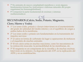  7º En animales de mayor complejidad( mamíferos y aves) algunos
bioelementos forman los Anticuerpos o defensas naturales del propio
organismo( las Inmunoglobulinas),
 8º Componen la parte fundamental de enzimas y sistemas
multienzimáticos

 Magnesio,
SECUNDARIOS (Calcio, Sodio, Potasio,
Cloro, Hierro y Yodo):

 1° Los iones sodio, potasio y cloruro intervienen en el mantenimiento
del grado de salinidad del medio interno y en el equilibrio de cargas a
ambos lados de la membrana.
 2° Los iones sodio y potasio son fundamentales en la transmisión del
impulso nervioso
 3° el calcio en forma de carbonato da lugar a caparazones de moluscos
y al esqueleto de muchos animales
 4° El ion calcio actúa en muchas reacciones, como los mecanismos de
la contracción muscular, la permeabilidad de las membranas, etc.
 5° El magnesio es un componente de la clorofila y de muchas enzimas.
Interviene en la síntesis y la degradación del ATP, en la replicación del
ADN y en su estabilización.

 
