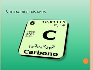 BIOELEMENTOS PRIMARIOS

 