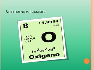 BIOELEMENTOS PRIMARIOS

 