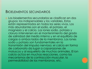BIOELEMENTOS SECUNDARIOS


Los bioelementos secundarios se clasifican en dos
grupos: los indispensables y los variables. Estos
están representados en todos los seres vivos. Los
más abundantes son el sodio, el potasio, el
magnesio y el calcio. Los iones sodio, potasio y
cloruro intervienen en el mantenimiento del grado
de salinidad del medio interno y en el equilibrio de
cargas a ambos lados de la membrana. Los iones
sodio y potasio son fundamentales en la
transmisión del impulso nervioso; el calcio en forma
de carbonato da lugar a caparazones de
moluscos y al esqueleto de muchos animales. El ion
calcio actúa en muchas reacciones, como los
mecanismos de la contracción muscular, la
permeabilidad de las membranas, etc.

 