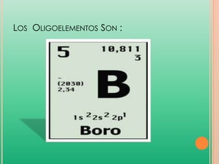 LOS OLIGOELEMENTOS SON :

 