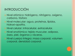 INTRODUCCIÓN
Nivel atómico: hidrógeno, nitrógeno, oxígeno,
carbono, fósforo
 Nivel molecular: agua, proteínas, lípidos,
hidroxi–apatita.
 Nivel celular: intracelular, extracelular.
 Nivel anatómico: tejido muscular, adiposo,
óseo, piel, órganos y vísceras.
 Nivel cuerpo íntegro: masa corporal, volumen
corporal, densidad corporal.


 