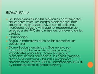 BIOMOLÉCULA






Las biomoléculas son las moléculas constituyentes
de los seres vivos. Los cuatro bioelementos más
abundantes en los seres vivos son el carbono,
hidrógeno, oxígeno y nitrógeno, representando
alrededor del 99% de la masa de la mayoría de las
células.
Clasificación
Según la naturaleza química las biomoléculas
pueden ser
Biomoléculas inorgánicas:' Que no sólo son
formadas por los seres vivos, pero son muy
importantes para ellos. Como el agua, la
biomolécula más abundante, los gases (oxígeno,
dióxido de carbono) y las sales inorgánicas:
aniones como fosfato (HPO4), bicarbonato (HCO4) y cationes como el amonio (NH4+).

 