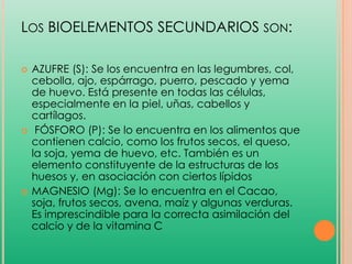 LOS BIOELEMENTOS SECUNDARIOS SON:






AZUFRE (S): Se los encuentra en las legumbres, col,
cebolla, ajo, espárrago, puerro, pescado y yema
de huevo. Está presente en todas las células,
especialmente en la piel, uñas, cabellos y
cartílagos.
FÓSFORO (P): Se lo encuentra en los alimentos que
contienen calcio, como los frutos secos, el queso,
la soja, yema de huevo, etc. También es un
elemento constituyente de la estructuras de los
huesos y, en asociación con ciertos lípidos
MAGNESIO (Mg): Se lo encuentra en el Cacao,
soja, frutos secos, avena, maíz y algunas verduras.
Es imprescindible para la correcta asimilación del
calcio y de la vitamina C

 