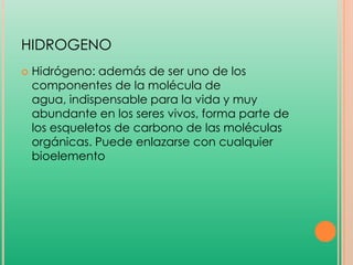 HIDROGENO


Hidrógeno: además de ser uno de los
componentes de la molécula de
agua, indispensable para la vida y muy
abundante en los seres vivos, forma parte de
los esqueletos de carbono de las moléculas
orgánicas. Puede enlazarse con cualquier
bioelemento

 