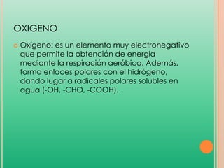 OXIGENO


Oxígeno: es un elemento muy electronegativo
que permite la obtención de energía
mediante la respiración aeróbica. Además,
forma enlaces polares con el hidrógeno,
dando lugar a radicales polares solubles en
agua (-OH, -CHO, -COOH).

 