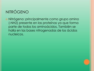 NITRÓGENO


Nitrógeno: principalmente como grupo amino
(-NH2) presente en las proteínas ya que forma
parte de todos los aminoácidos. También se
halla en las bases nitrogenadas de los ácidos
nucleicos.

 
