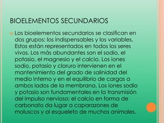 BIOELEMENTOS SECUNDARIOS


Los bioelementos secundarios se clasifican en
dos grupos: los indispensables y los variables.
Estos están representados en todos los seres
vivos. Los más abundantes son el sodio, el
potasio, el magnesio y el calcio. Los iones
sodio, potasio y cloruro intervienen en el
mantenimiento del grado de salinidad del
medio interno y en el equilibrio de cargas a
ambos lados de la membrana. Los iones sodio
y potasio son fundamentales en la transmisión
del impulso nervioso; el calcio en forma de
carbonato da lugar a caparazones de
moluscos y al esqueleto de muchos animales.

 