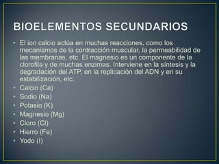 • El ion calcio actúa en muchas reacciones, como los
mecanismos de la contracción muscular, la permeabilidad de
las membranas, etc. El magnesio es un componente de la
clorofila y de muchas enzimas. Interviene en la síntesis y la
degradación del ATP, en la replicación del ADN y en su
estabilización, etc.
• Calcio (Ca)
• Sodio (Na)
• Potasio (K)
• Magnesio (Mg)
• Cloro (Cl)
• Hierro (Fe)
• Yodo (I)

 