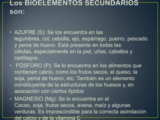 • AZUFRE (S): Se los encuentra en las
legumbres, col, cebolla, ajo, espárrago, puerro, pescado
y yema de huevo. Está presente en todas las
células, especialmente en la piel, uñas, cabellos y
cartílagos.
• FÓSFORO (P): Se lo encuentra en los alimentos que
contienen calcio, como los frutos secos, el queso, la
soja, yema de huevo, etc. También es un elemento
constituyente de la estructuras de los huesos y, en
asociación con ciertos lípidos
• MAGNESIO (Mg): Se lo encuentra en el
Cacao, soja, frutos secos, avena, maíz y algunas
verduras. Es imprescindible para la correcta asimilación
del calcio y de la vitamina C

 