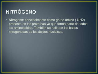 • Nitrógeno: principalmente como grupo amino (-NH2)
presente en las proteínas ya que forma parte de todos
los aminoácidos. También se halla en las bases
nitrogenadas de los ácidos nucleicos.

 