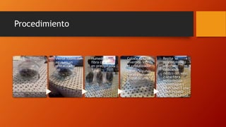Procedimiento
Vierte 100ml.de
agua en un
cristalizador
Humedece una
fibra con agua
en precipitado
1
Coloca el vaso
invertido sobre
el cristalizador
Espera algunas
horas y observa
lo que ocurre
Repite el
procedimiento
anterior
colocando
dentro del vaso
2 una fibra
humedecida
con vinagre y
en el vaso 3 una
fibra mojada
con agua salada
 