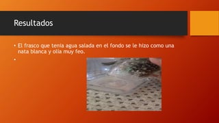Resultados
• El frasco que tenia agua salada en el fondo se le hizo como una
nata blanca y olía muy feo.
•
 