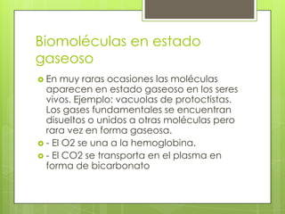 Biomoléculas en estado
gaseoso
 En

muy raras ocasiones las moléculas
aparecen en estado gaseoso en los seres
vivos. Ejemplo: vacuolas de protoctistas.
Los gases fundamentales se encuentran
disueltos o unidos a otras moléculas pero
rara vez en forma gaseosa.
 - El O2 se una a la hemoglobina.
 - El CO2 se transporta en el plasma en
forma de bicarbonato

 