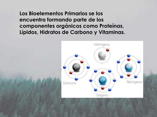 Los Bioelementos Primarios se los
encuentra formando parte de los
componentes orgánicos como Proteínas,
Lípidos, Hidratos de Carbono y Vitaminas.

 