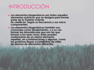INTRODUCCIÓN




Los elementos biogenésicos son todos aquellos
elementos químicos que se designa para formar
parte de la materia viviente.
Se clasifican: Según su frecuencia y sus micro
componentes.
Los elementos biogenésicos también son
conocidos como bioelementos, y a su vez
forman las biomoléculas que son las que
forman a los seres vivos; éstas pueden
conformarse de un mismo elemento
repetido, en combinaciones y algunas, como
las proteínas llegan a constituirse de miles
de átomos de elementos diferentes

 