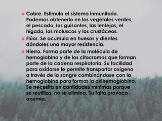 




Cobre. Estimula el sistema inmunitario.
Podemos obtenerlo en los vegetales verdes,
el pescado, los guisantes, las lentejas, el
hígado, los moluscos y los crustáceos.
Flúor. Se acumula en huesos y dientes
dándoles una mayor resistencia.
Hierro. Forma parte de la molécula de
hemoglobina y de los citocromos que forman
parte de la cadena respiratoria. Su facilidad
para oxidarse le permite transportar oxígeno
a través de la sangre combinándose con la
hemoglobina para formar la oxihemoglobina.
Se necesita en cantidades mínimas porque
se reutiliza, no se elimina. Su falta provoca
anemia.

 