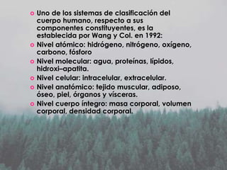 







Uno de los sistemas de clasificación del
cuerpo humano, respecto a sus
componentes constituyentes, es la
establecida por Wang y Col. en 1992:
Nivel atómico: hidrógeno, nitrógeno, oxígeno,
carbono, fósforo
Nivel molecular: agua, proteínas, lípidos,
hidroxi–apatita.
Nivel celular: intracelular, extracelular.
Nivel anatómico: tejido muscular, adiposo,
óseo, piel, órganos y vísceras.
Nivel cuerpo íntegro: masa corporal, volumen
corporal, densidad corporal.

 