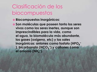 Clasificación de los
biocompuestos
 Biocompuestos

inorgánicos:
 Son moléculas que poseen tanto los seres
vivos como los seres inertes, aunque son
imprescindibles para la vida, como
el agua, la biomolécula más abundante,
los gases (oxígeno, etc) y las sales
inorgánicas: aniones como fosfato (HPO4−
), bicarbonato (HCO3−) y cationes como
el amonio (NH4+).

 