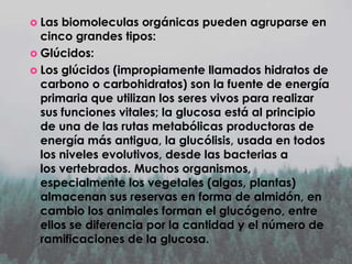  Las

biomoleculas orgánicas pueden agruparse en
cinco grandes tipos:
 Glúcidos:
 Los glúcidos (impropiamente llamados hidratos de
carbono o carbohidratos) son la fuente de energía
primaria que utilizan los seres vivos para realizar
sus funciones vitales; la glucosa está al principio
de una de las rutas metabólicas productoras de
energía más antigua, la glucólisis, usada en todos
los niveles evolutivos, desde las bacterias a
los vertebrados. Muchos organismos,
especialmente los vegetales (algas, plantas)
almacenan sus reservas en forma de almidón, en
cambio los animales forman el glucógeno, entre
ellos se diferencia por la cantidad y el número de
ramificaciones de la glucosa.

 