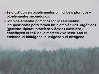  Se

clasifican en bioelementos primarios o plásticos y
bioelementos secundarios.
 Los bioelementos primarios son los elementos
indispensables para formar las biomoléculas orgánicas
(glúcidos, lípidos, proteínas y ácidos nucleicos);
constituyen el 96% de la materia viva seca. Son el
carbono, el hidrógeno, el oxígeno y el nitrógeno.

 
