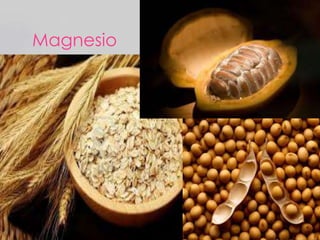 Magnesio

 