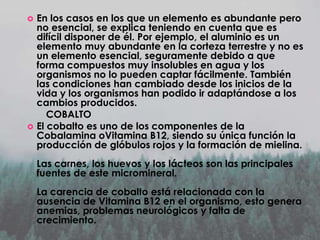 



En los casos en los que un elemento es abundante pero
no esencial, se explica teniendo en cuenta que es
difícil disponer de él. Por ejemplo, el aluminio es un
elemento muy abundante en la corteza terrestre y no es
un elemento esencial, seguramente debido a que
forma compuestos muy insolubles en agua y los
organismos no lo pueden captar fácilmente. También
las condiciones han cambiado desde los inicios de la
vida y los organismos han podido ir adaptándose a los
cambios producidos.
COBALTO
El cobalto es uno de los componentes de la
Cobalamina oVitamina B12, siendo su única función la
producción de glóbulos rojos y la formación de mielina.
Las carnes, los huevos y los lácteos son las principales
fuentes de este micromineral.
La carencia de cobalto está relacionada con la
ausencia de Vitamina B12 en el organismo, esto genera
anemias, problemas neurológicos y falta de
crecimiento.

 