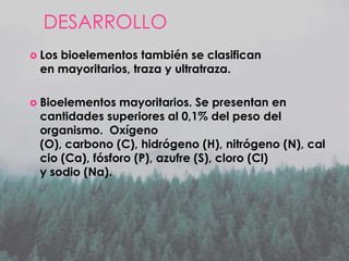 DESARROLLO
 Los

bioelementos también se clasifican
en mayoritarios, traza y ultratraza.

 Bioelementos

mayoritarios. Se presentan en
cantidades superiores al 0,1% del peso del
organismo. Oxígeno
(O), carbono (C), hidrógeno (H), nitrógeno (N), cal
cio (Ca), fósforo (P), azufre (S), cloro (Cl)
y sodio (Na).

 
