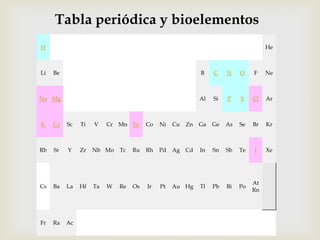 Tabla periódica y bioelementos
H

Li

He

Be

B

C

N

O

F

Ne

Na Mg

Al

Si

P

S

Cl

Ar

K

Ca

Sc

Ti

V

Cr Mn

Rb

Sr

Y

Zr

Nb Mo

Cs

Ba

La

Hf

Ta

Fr

Ra

Ac

W

Fe

Co

Ni

Cu

Zn

Ga

Ge

As

Se

Br

Kr

Tc

Ru

Rh

Pd

Ag Cd

In

Sn

Sb

Te

I

Xe

Re

Os

Ir

Pt

Au Hg

Tl

Pb

Bi

Po

At
Rn

 