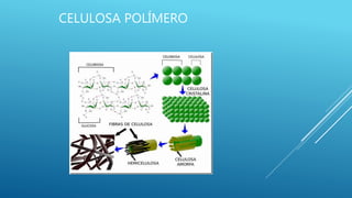CELULOSA POLÍMERO
 