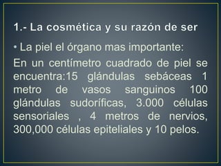 • La piel el órgano mas importante:
En un centímetro cuadrado de piel se
encuentra:15 glándulas sebáceas 1
metro de vasos sanguinos 100
glándulas sudoríficas, 3.000 células
sensoriales , 4 metros de nervios,
300,000 células epiteliales y 10 pelos.
 