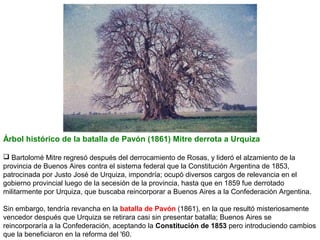 Árbol histórico de la batalla de Pavón (1861) Mitre derrota a Urquiza
 Bartolomé Mitre regresó después del derrocamiento de Rosas, y lideró el alzamiento de la
provincia de Buenos Aires contra el sistema federal que la Constitución Argentina de 1853,
patrocinada por Justo José de Urquiza, impondría; ocupó diversos cargos de relevancia en el
gobierno provincial luego de la secesión de la provincia, hasta que en 1859 fue derrotado
militarmente por Urquiza, que buscaba reincorporar a Buenos Aires a la Confederación Argentina.
Sin embargo, tendría revancha en la batalla de Pavón (1861), en la que resultó misteriosamente
vencedor después que Urquiza se retirara casi sin presentar batalla; Buenos Aires se
reincorporaría a la Confederación, aceptando la Constitución de 1853 pero introduciendo cambios
que la beneficiaron en la reforma del '60.

 