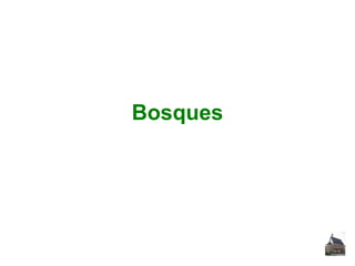 Bosques

 