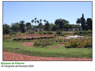 Bosques de Palermo
 Fotografía del Rosedal 2009

 