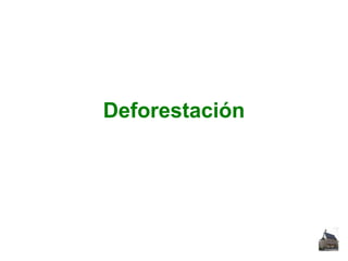 Deforestación

 