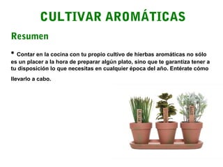 CULTIVAR AROMÁTICAS
Resumen
• Contar en la cocina con tu propio cultivo de hierbas aromáticas no sólo
es un placer a la hora de preparar algún plato, sino que te garantiza tener a
tu disposición lo que necesitas en cualquier época del año. Entérate cómo
llevarlo a cabo.

 