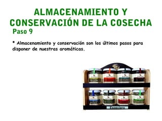 ALMACENAMIENTO Y
CONSERVACIÓN DE LA COSECHA
Paso 9

• Almacenamiento y conservación son los últimos pasos para
disponer de nuestras aromáticas.

Especiero

 