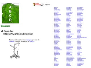 A
B
C
D
Glosario
 Consultar
http://www.unex.es/botanica/LHB/

 